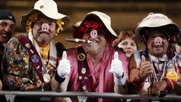 hogs